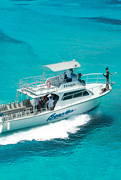 Bateaux de plongée sous-marine Newton